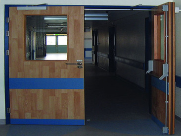 TIMBER DOORS (WD- SERIES)